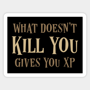 What Doesnt Kill You Gives You XP Gaming Magnet